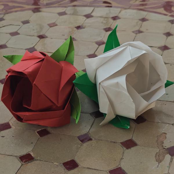 Origami Photo